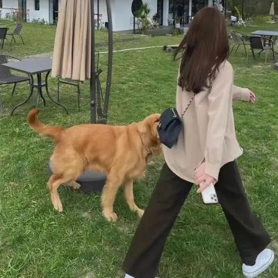 草之韵